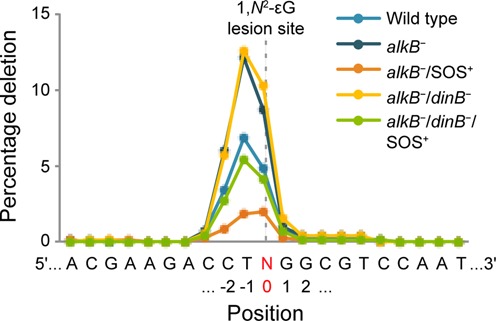 Figure 4.