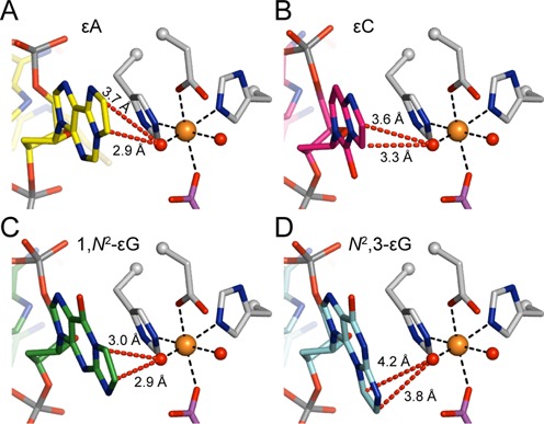 Figure 7.