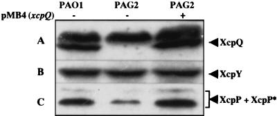 FIG. 6