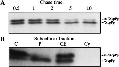 FIG. 4