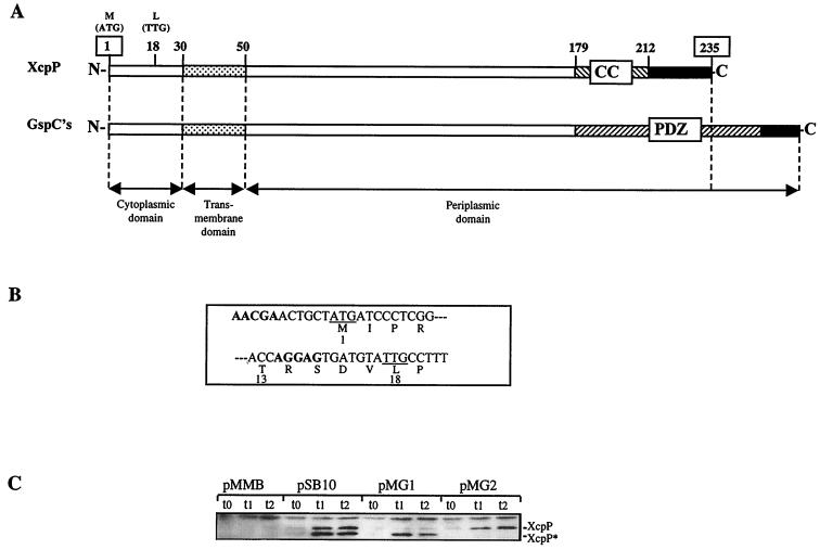 FIG. 1