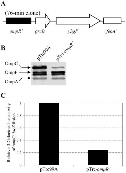 FIG. 10.