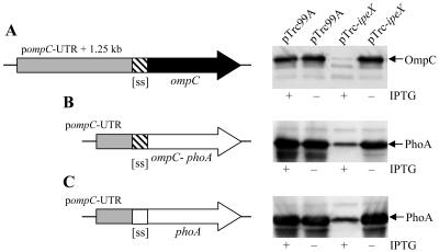 FIG. 8.