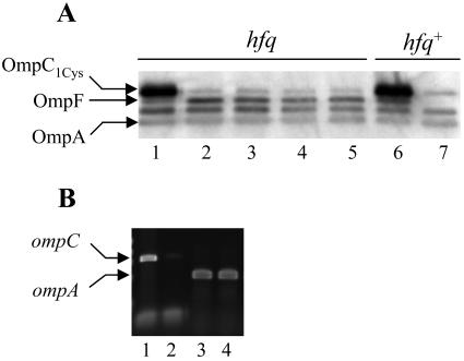 FIG. 9.