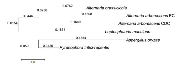 Figure 7 