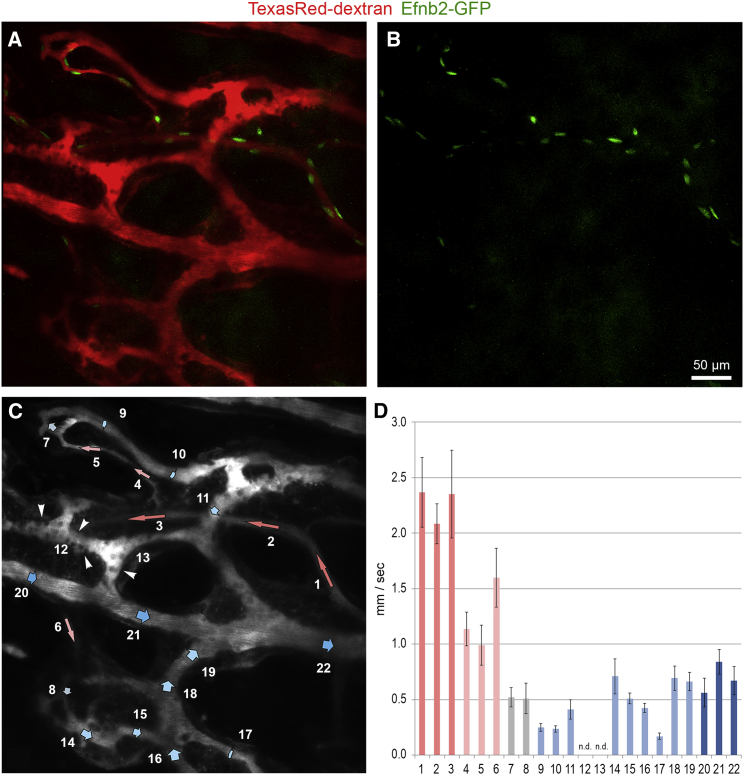 Figure 4