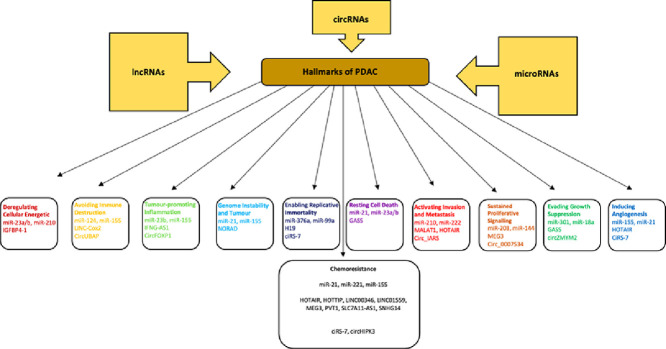 Image, graphical abstract