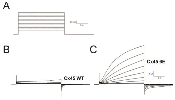 Figure 8