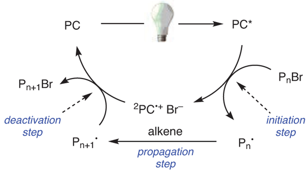 Scheme 2.