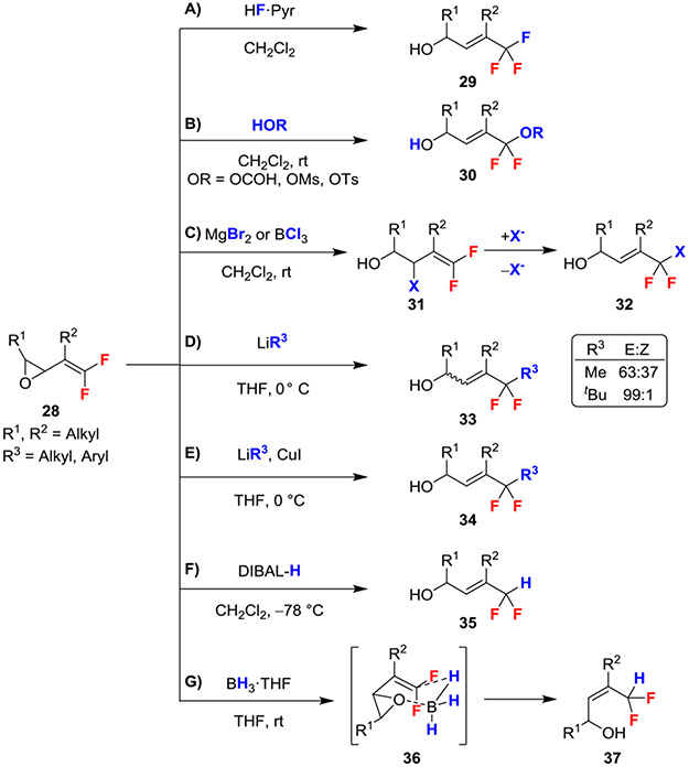 Scheme 5