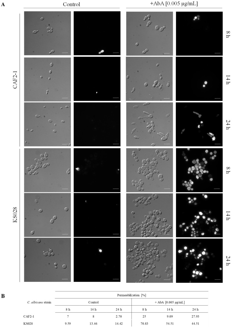 Figure 6