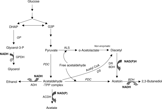 FIG. 1.