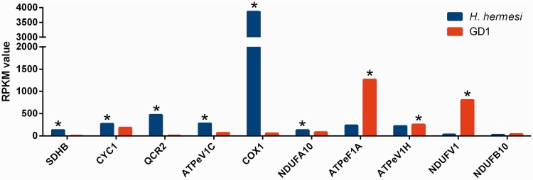 Fig. 6.—