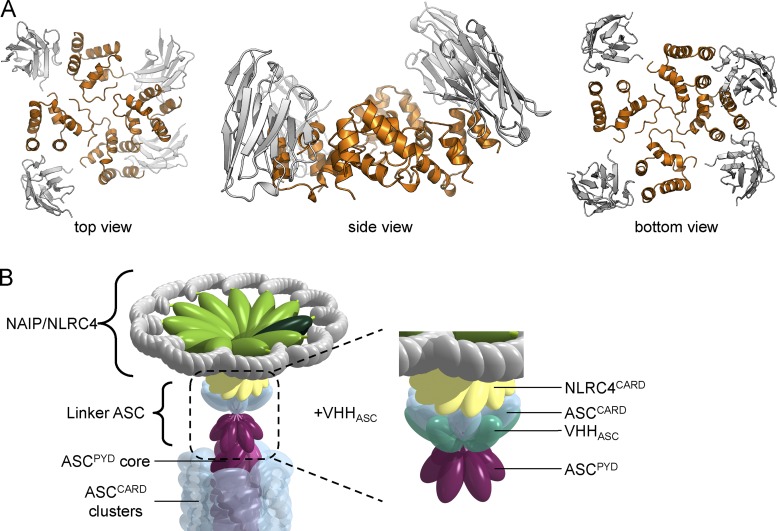 Figure 10.