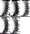 Fig. 2: