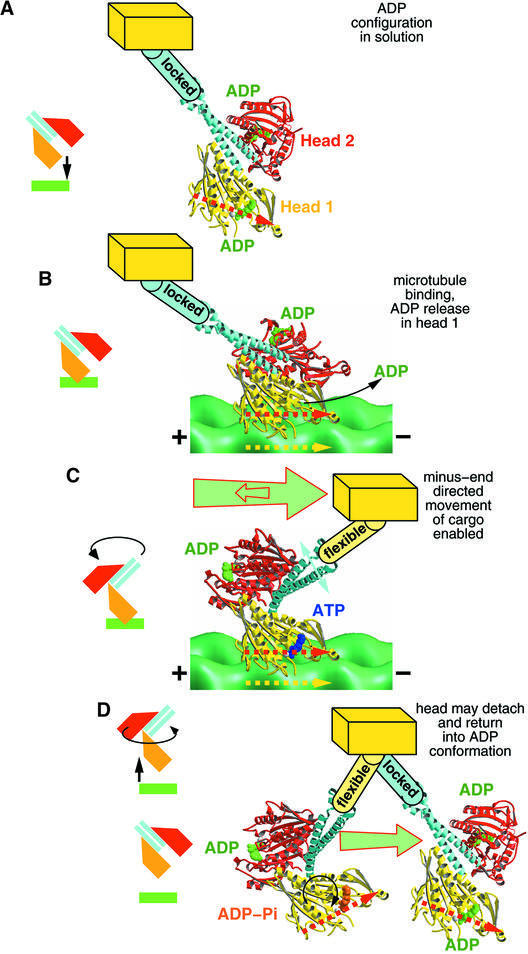 graphic file with name cdf622f5.jpg