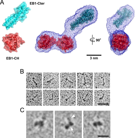 Figure 2: