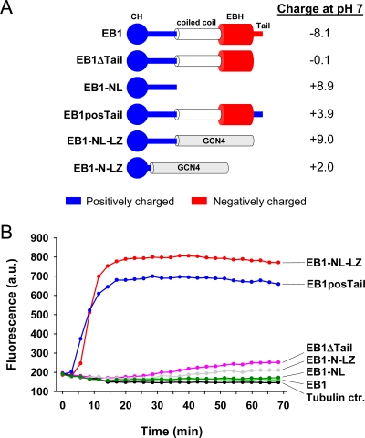 Figure 6: