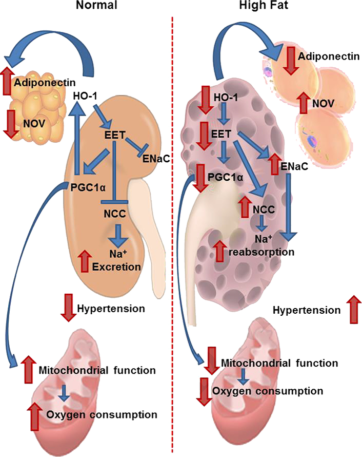 Figure 7.