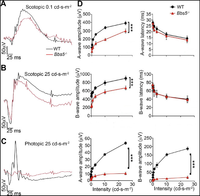 Figure 5.