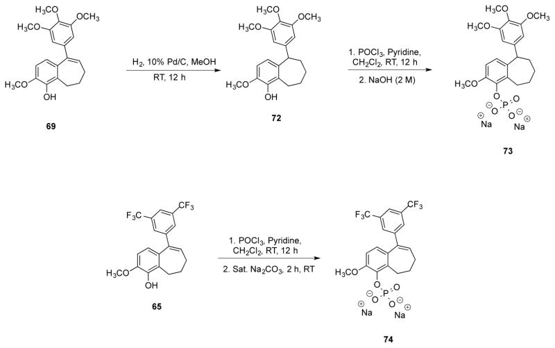 Scheme 5