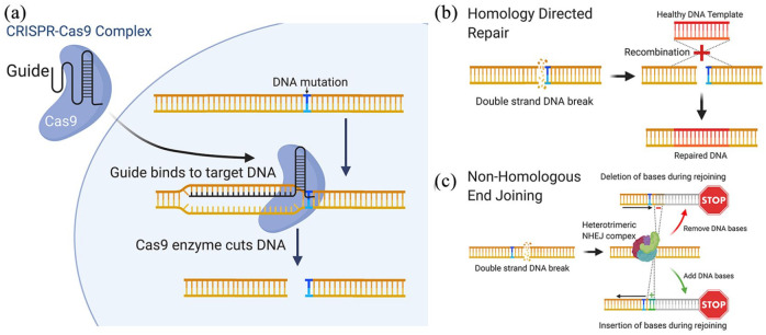 Figure 7.