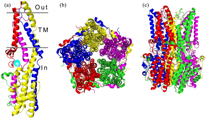 Figure 2.