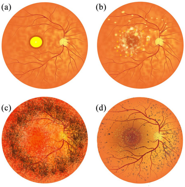 Figure 1.