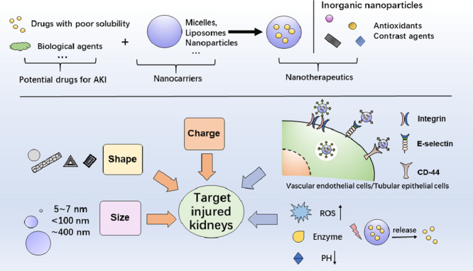 Image, graphical abstract