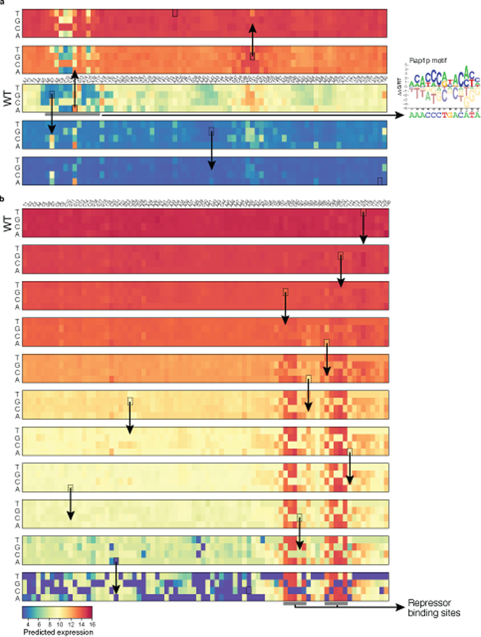 Extended Data Fig. 8 |