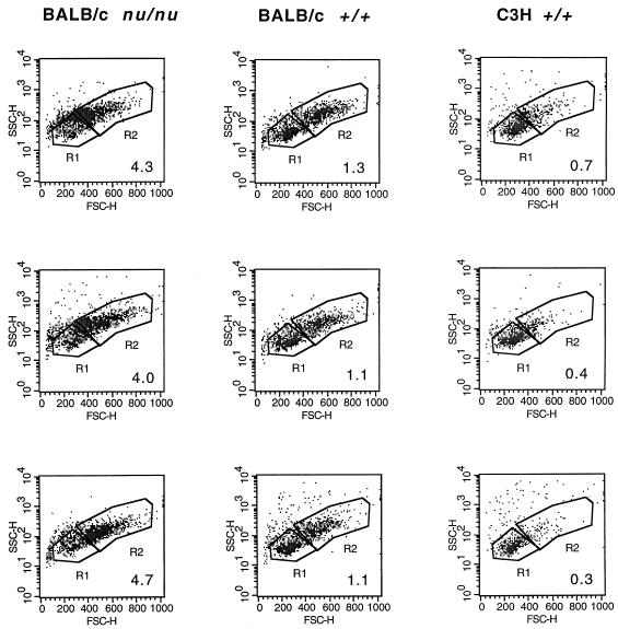 FIG. 4