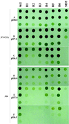 FIG. 3