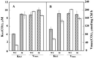 FIG. 7