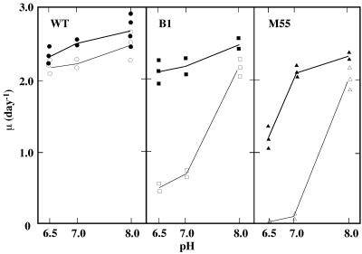 FIG. 4