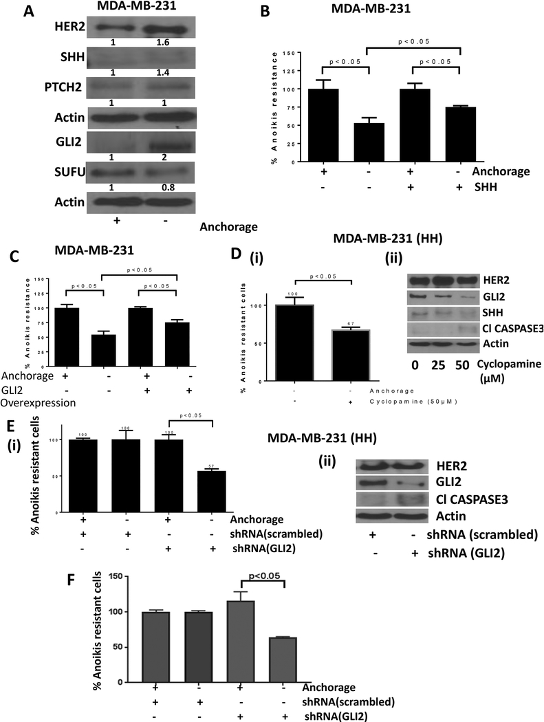 Figure 3–