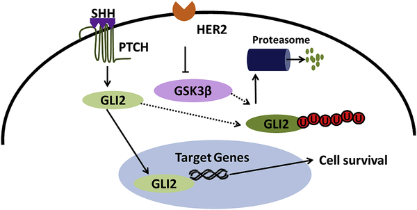 Figure 7–