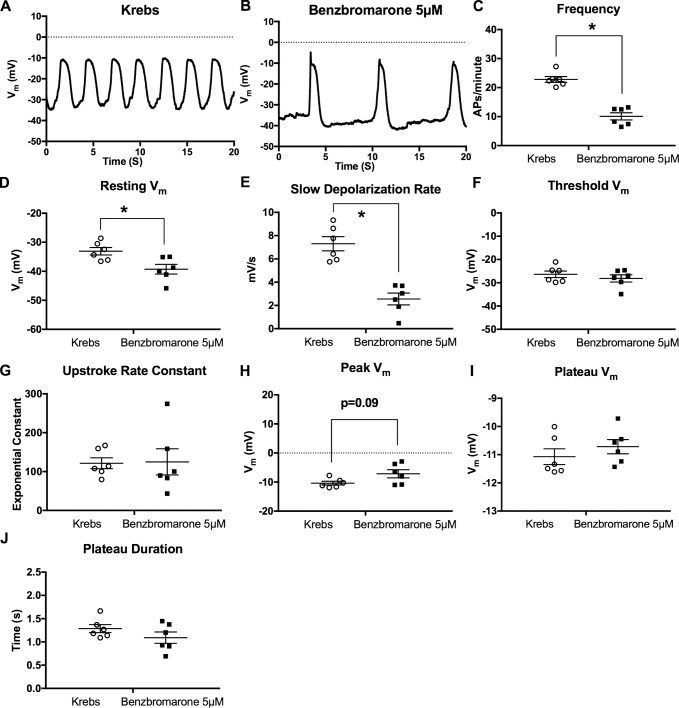 Figure 10.