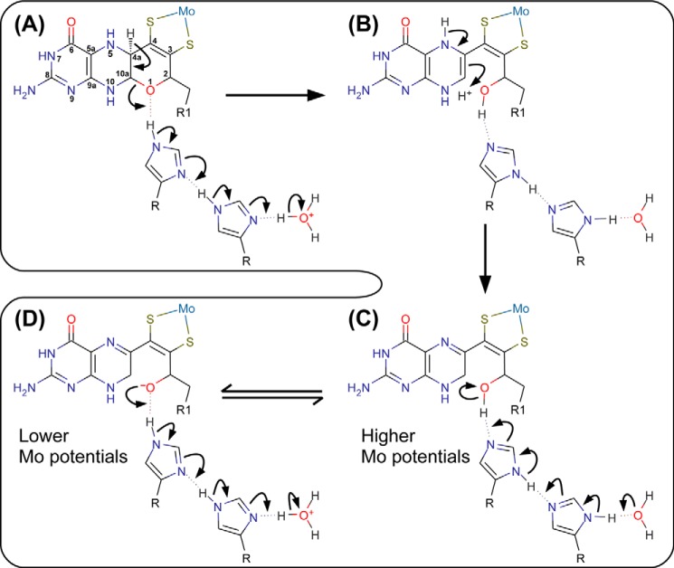 FIGURE 7.