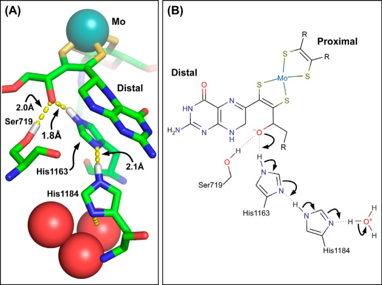 FIGURE 1.