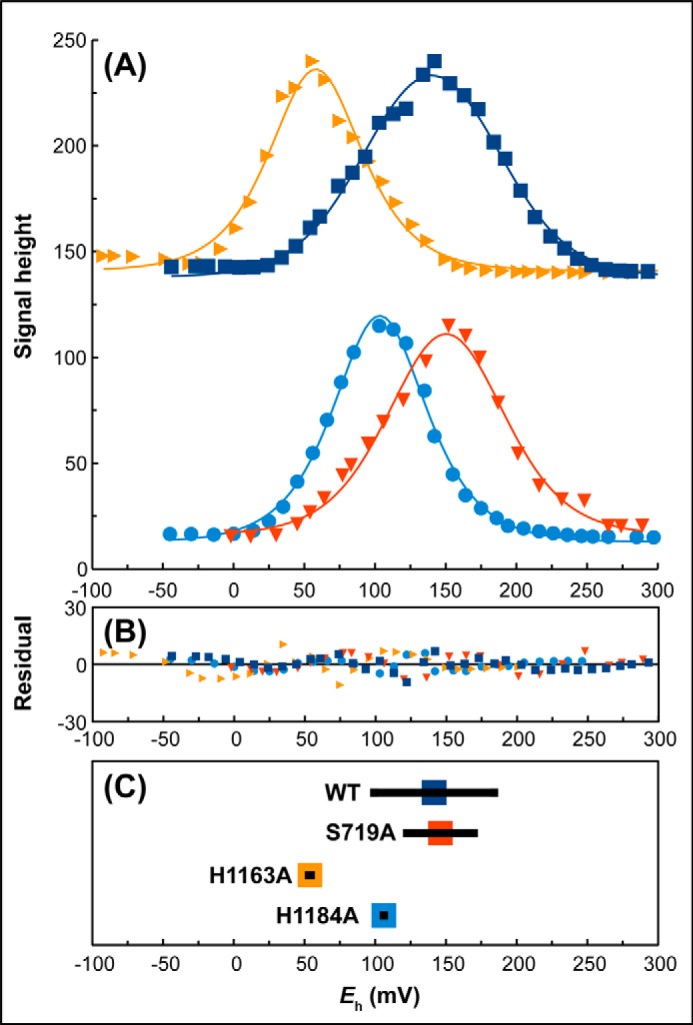 FIGURE 4.