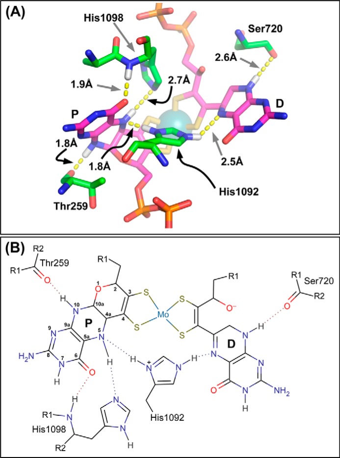 FIGURE 2.