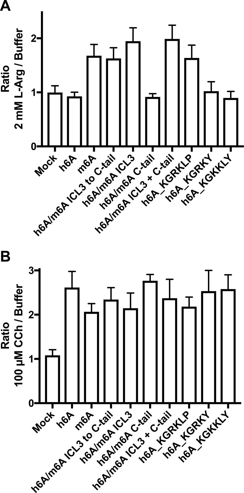 FIGURE 5.