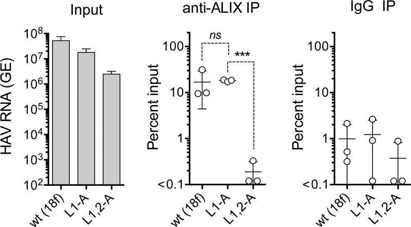 FIG 8