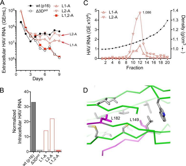 FIG 6