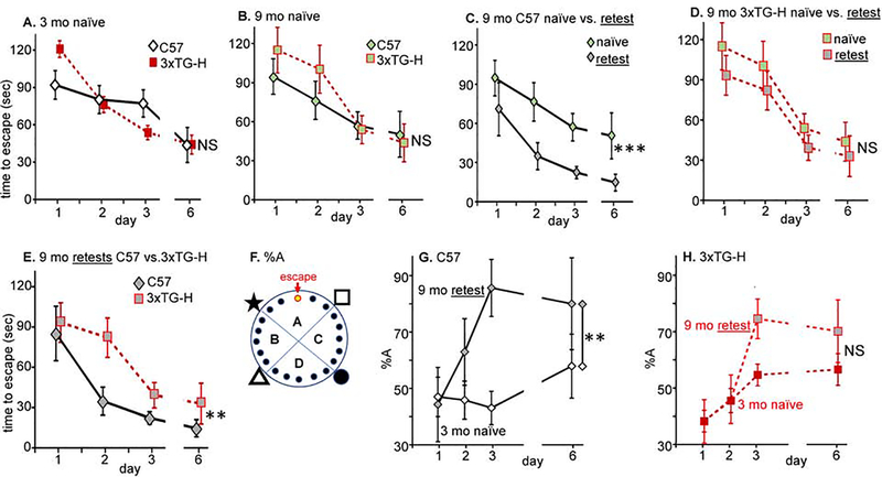 Fig.2.