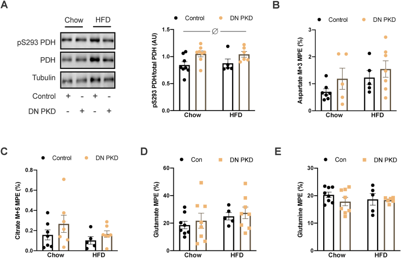 Figure 6