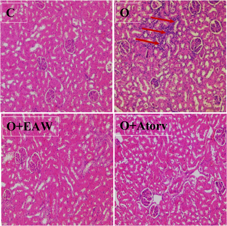 Figure 7