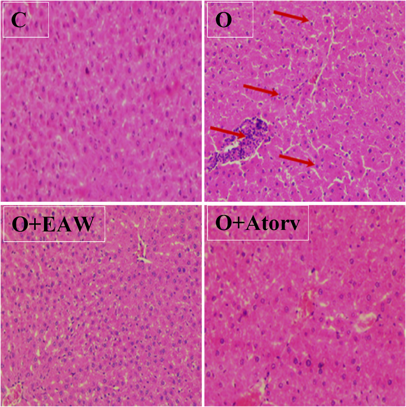 Figure 6