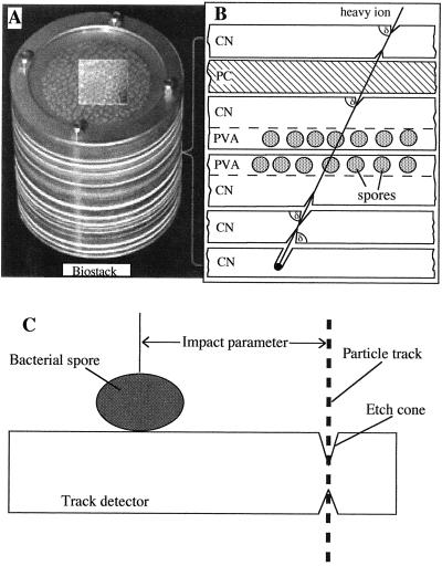 FIG. 9