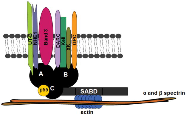 Fig. 7